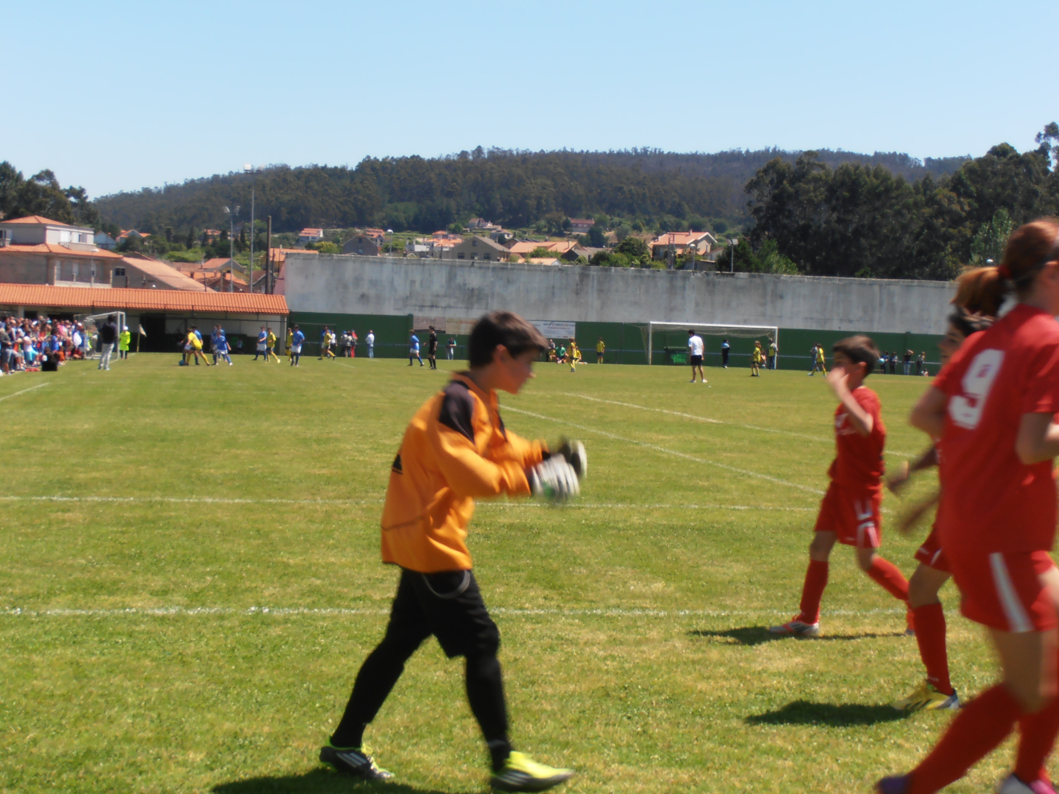 Foto 62687