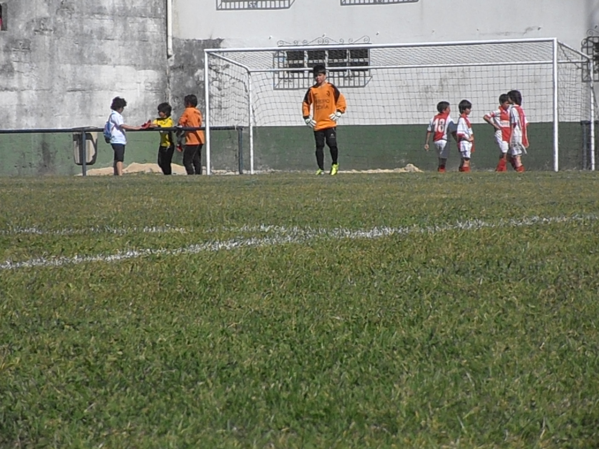 Foto 62806