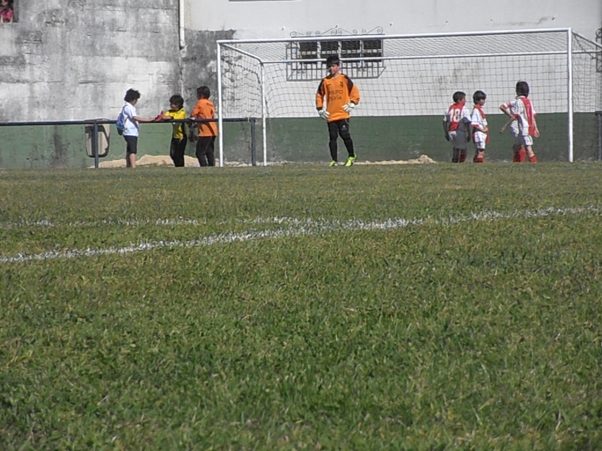 Foto 62807