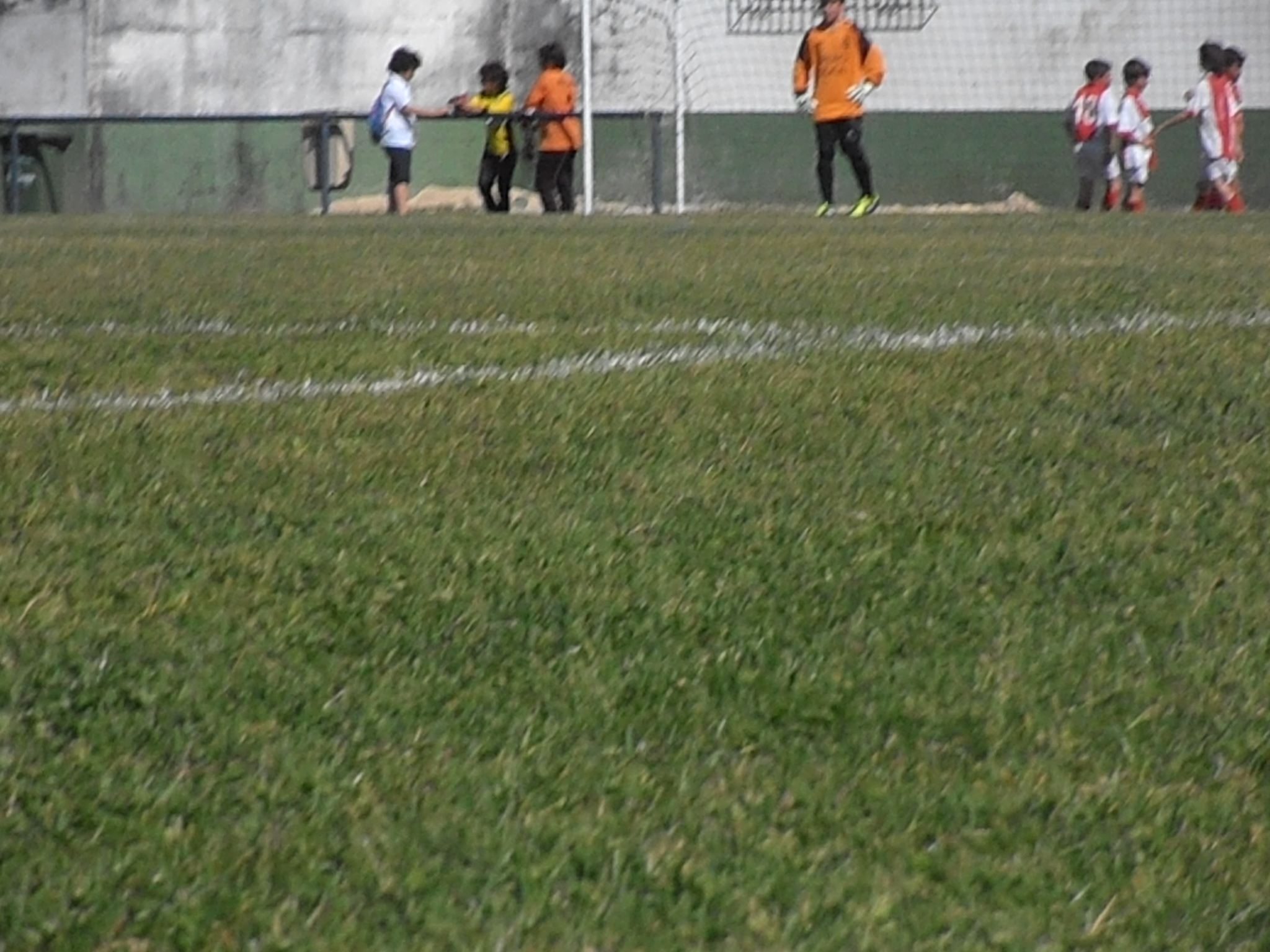 Foto 62808