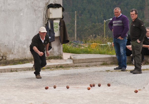 Foto Alfa - Club Ribatra