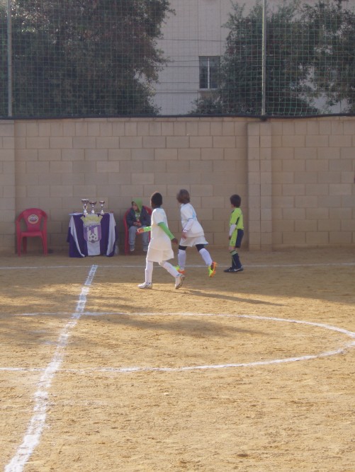 Foto VALLA 2 GIGANTES BLANCOS