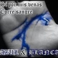 depor14
