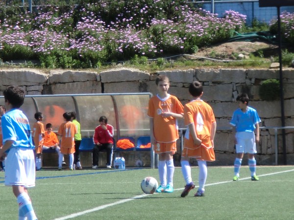 Foto 61136