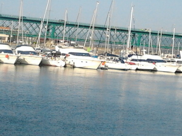Foto 61418