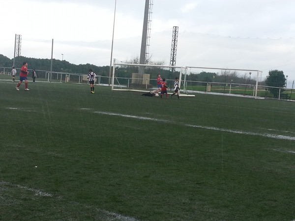 Foto 50952