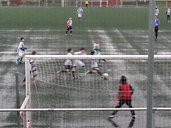 Foto 57031