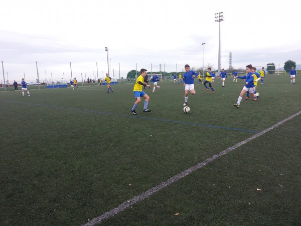Foto 100799
