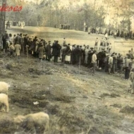 Antinez