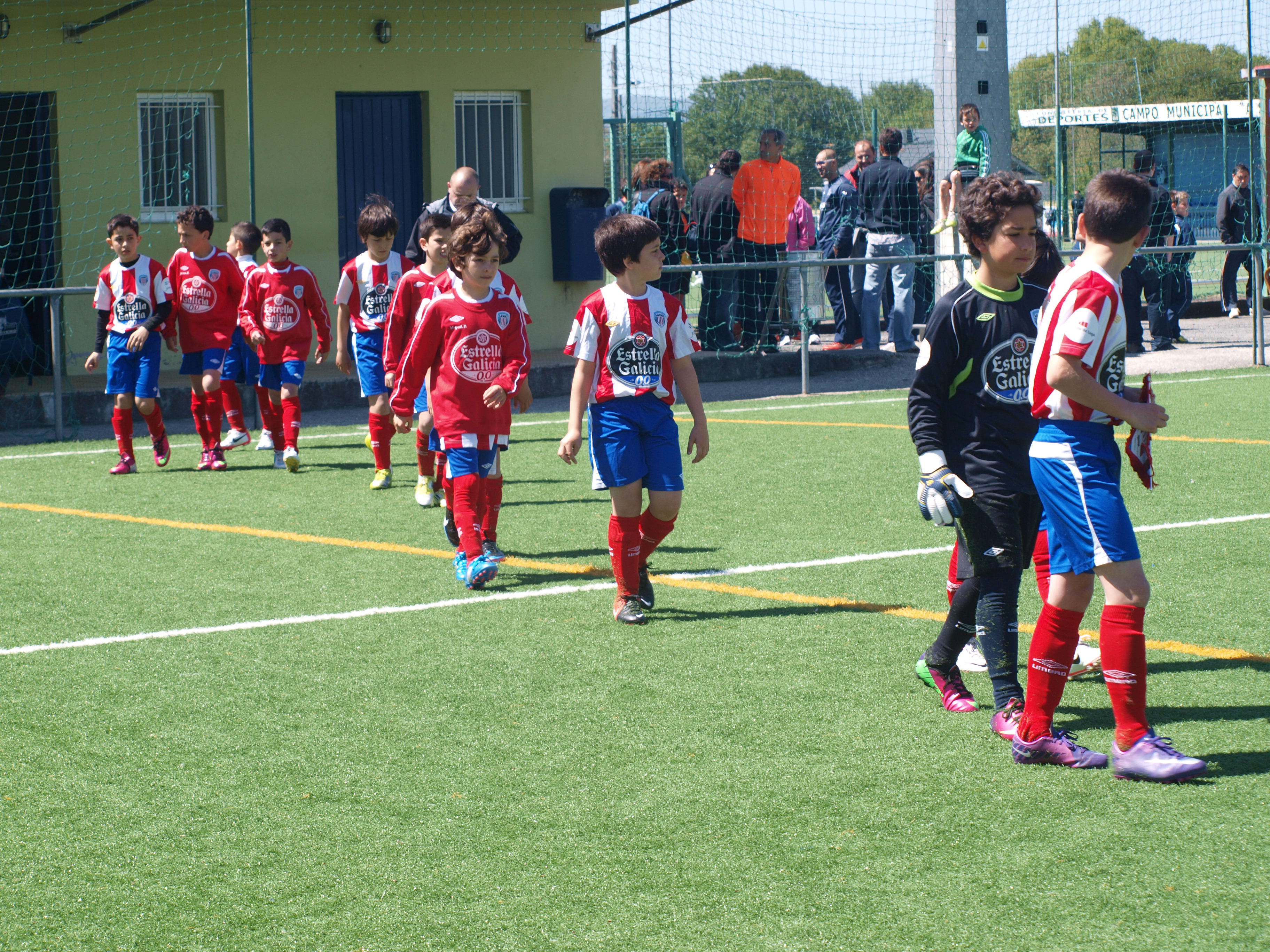 Foto 62440
