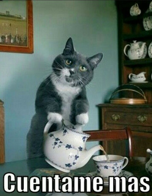 Foto "O gallego" mira mi cara de interÃ